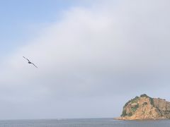-棒棰岛宾馆景区