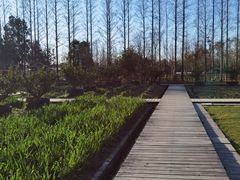 -前小桔亲子创意农场·草莓采摘·露营烧烤