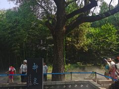 -淄博聊斋城景区