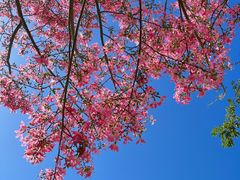 -风云岭森林公园