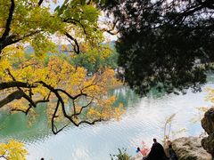 -溪口-滕头旅游景区