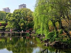 -南园(太仓市)