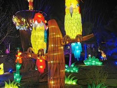 -南宫五洲植物乐园