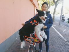 -老地方面馆(思南路店)