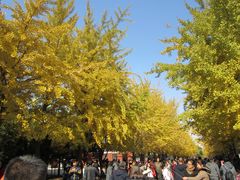 -辽宁大学(崇山校区)