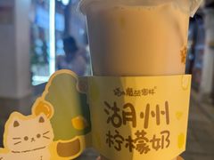 -猫的魔法密林(衣裳街店)