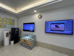 -北京观赏动物医院·24小时大型综合·猫专科·异宠专科