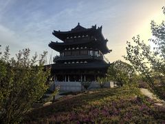 -江心屿景区