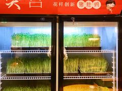 -煲宫猪肚鸡(昆山金鹰国际购物中心店)