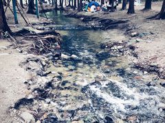 -白水寺森林公园