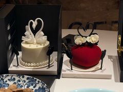 -BLACKSWAN黑天鹅(环球店)