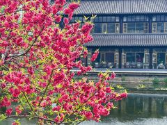 -莫愁湖公园