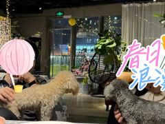 -百好乐宠物友好餐厅(朝外大街店)