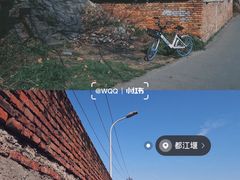 -老号尤兔头(幸福店)