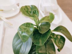 -白云中餐厅·粤菜·亚龙湾喜来登度假酒店