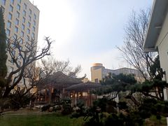 -九献创意菜·牛排馆(亮马河花园店)