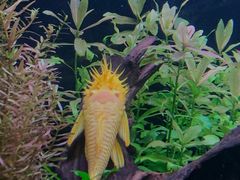 -上海海洋水族馆