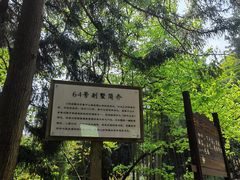 -莫干山风景区