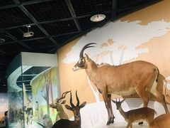 -陕西自然博物馆