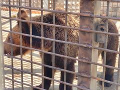 -水上乐园·欢乐世界