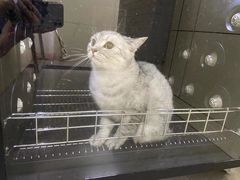 -宠颐生动物医院·小陆分院