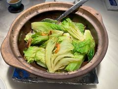 啫啫生菜煲-陶陶居·雅园(凯华国际店)