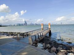 -深圳湾公园-停车场