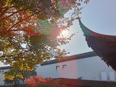 -秋霞圃