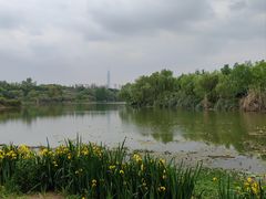 -白鹭湾湿地公园