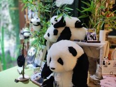 -轩客会(熊猫书店)