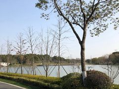 -昆山城市生态森林公园