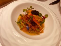 -蝶舍·MAISON PAPILLON