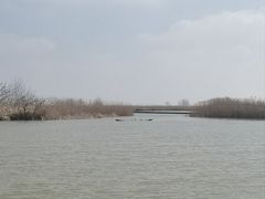 -盐城丹顶鹤湿地生态旅游区