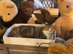 -咖法森林·咖啡  酒吧(天河店)