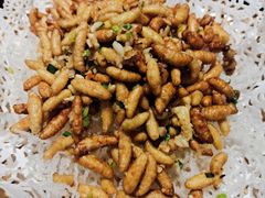 -金苑酒家·客家菜·广东老字号(万象店)