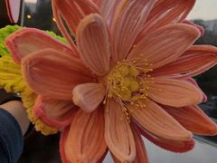 -海底捞火锅(千峰路店)