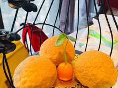 -汤臣·空中餐厅·严选粤菜(石湾世博广场店)