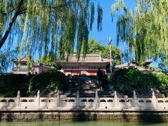 -皇家御河游(紫御湾码头)