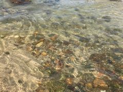 -西涌国际滨海旅游区