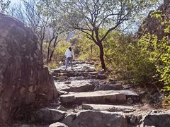 -阳台山自然风景区