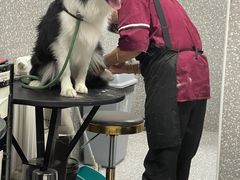 -宠物家(角门东店)