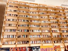 -深影国际影城(学院南路店CGS中国巨幕店)