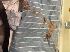 -生如夏花泰式火锅(鹭洲里店)