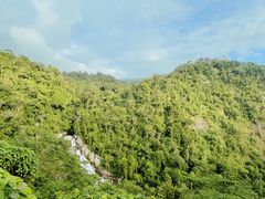 -海南热带雨林国家公园吊罗山景区