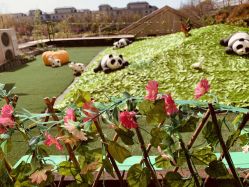 -卓玥国际月子会所(罗山路店)