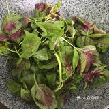 夏日时蔬来一份-蒜泥炒红苋菜！