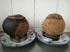 -達揚原味燉品(文明路店)
