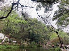 -岳麓山风景名胜区