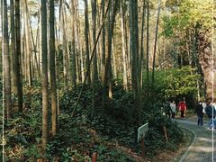 -龙井壹号·茶缘山景宴(龙井村店)