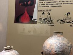 -宁夏博物馆